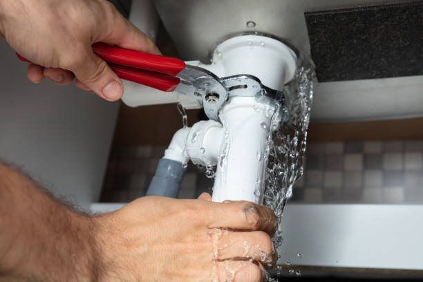 Best Water damage contractors near me  in Dixon, IL
