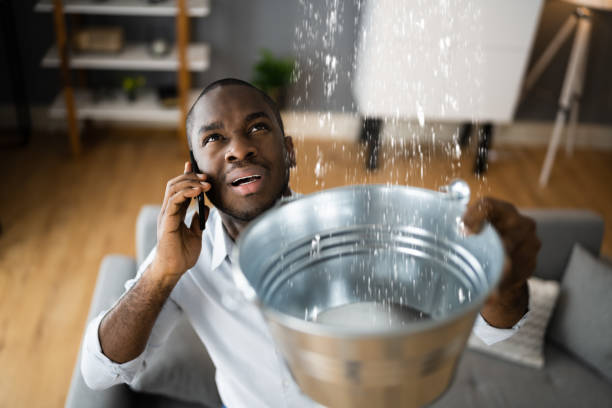 Best Water damage restoration cost  in Dixon, IL