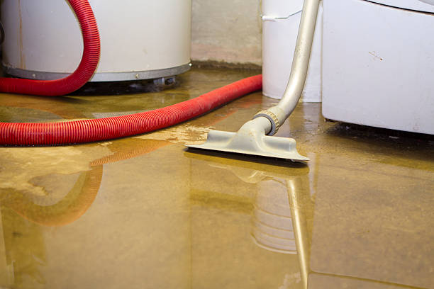 Best Water damage mitigation services  in Dixon, IL