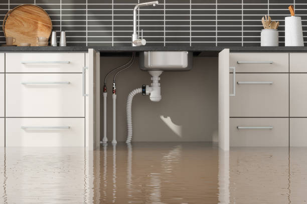 Best Water damage cleanup near me  in Dixon, IL
