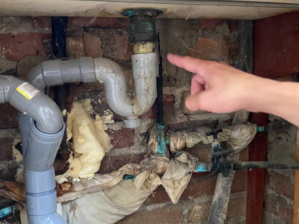 Best Sewage cleanup and water damage restoration  in Dixon, IL
