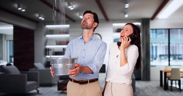 Best 24-hour water damage restoration  in Dixon, IL