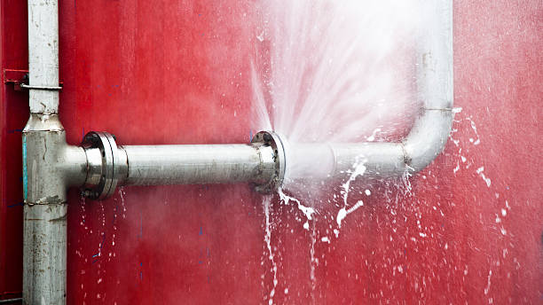Best Residential water damage restoration  in Dixon, IL
